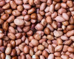 Groundnuts (Peanuts)