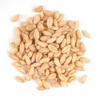 Soft Wheat